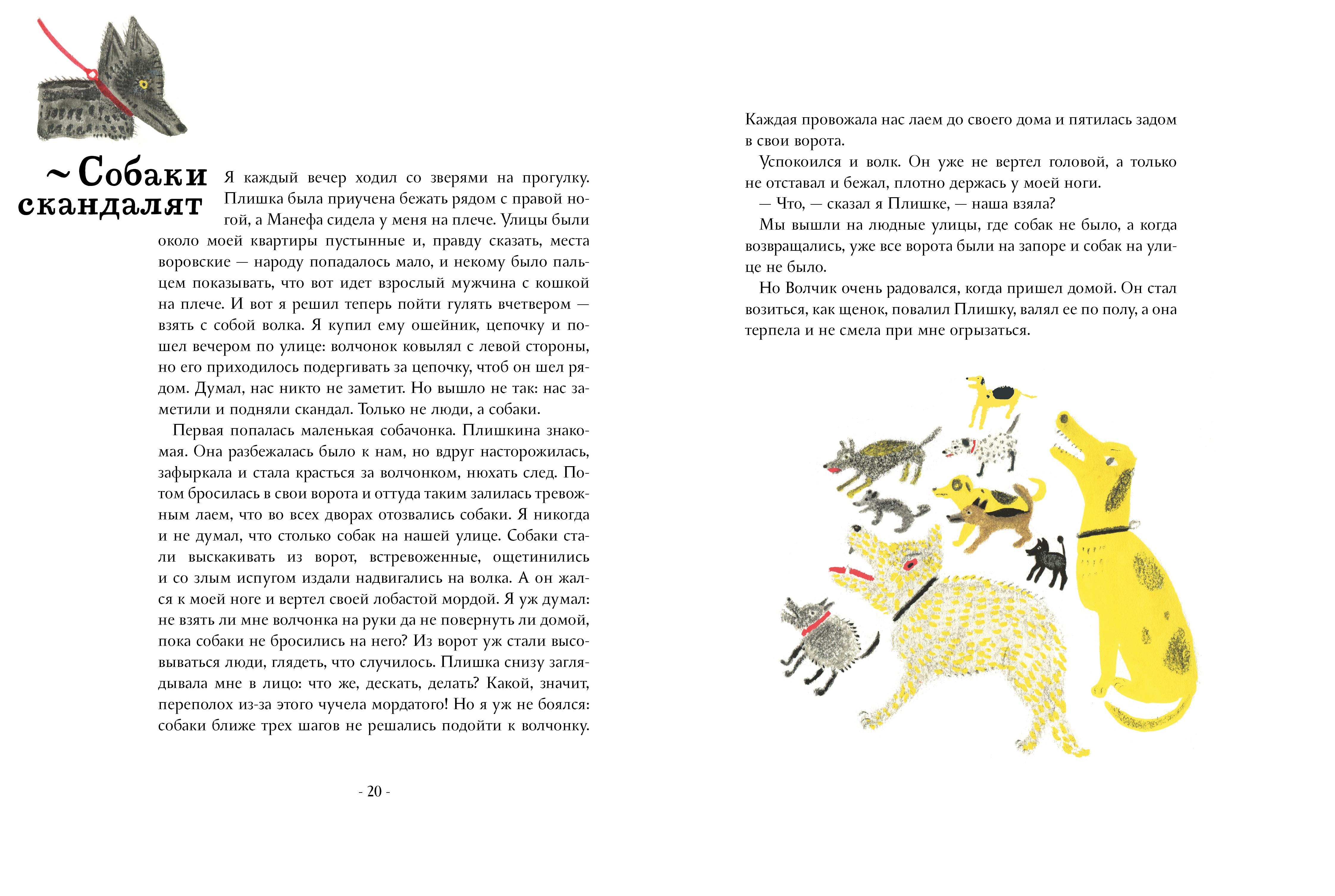 Книга Волчок Про Волка - фото 7