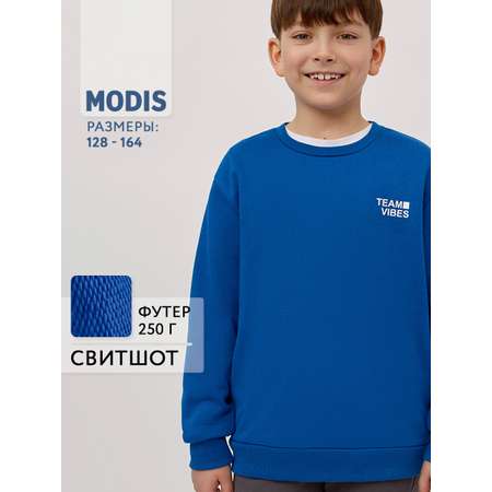 Свитшот MODIS