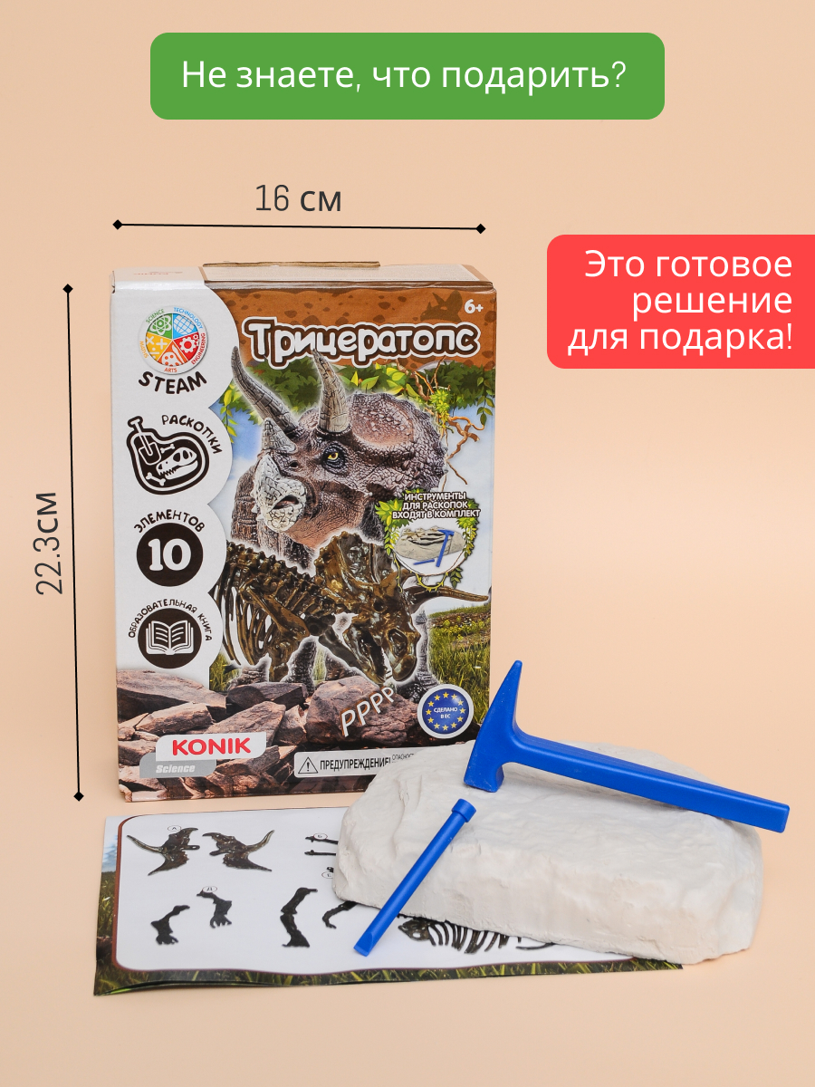 Набор для раскопок KONIK Science - фото 13