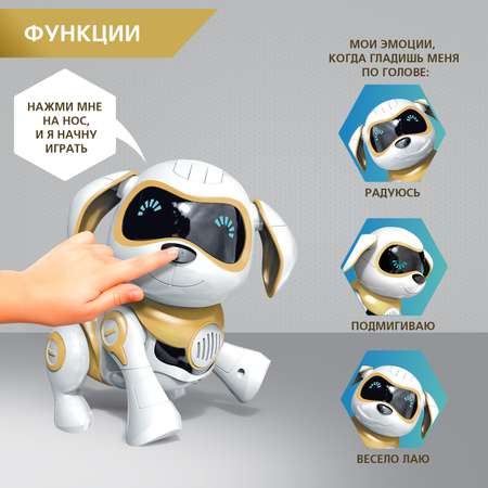 Собака РУ Sima-Land Чаппи