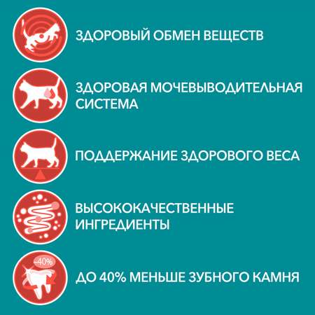 Корм для кошек Purina One стерилизованных с говядиной и морковью влажный 75г