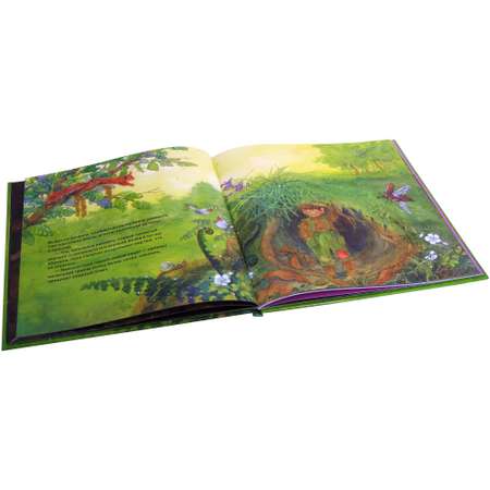 Книга Добрая книга Сморчок маленький тролль. Иллюстрации Даниэлы Дрешер