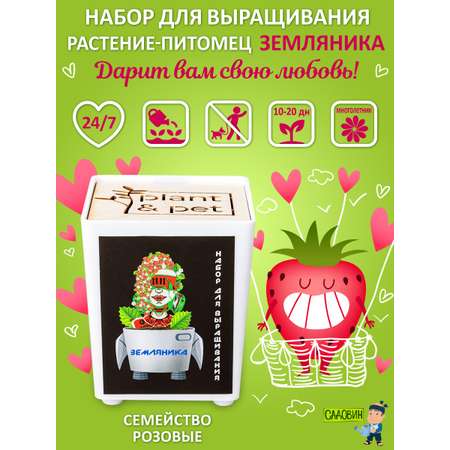 Набор для выращивания Blabar