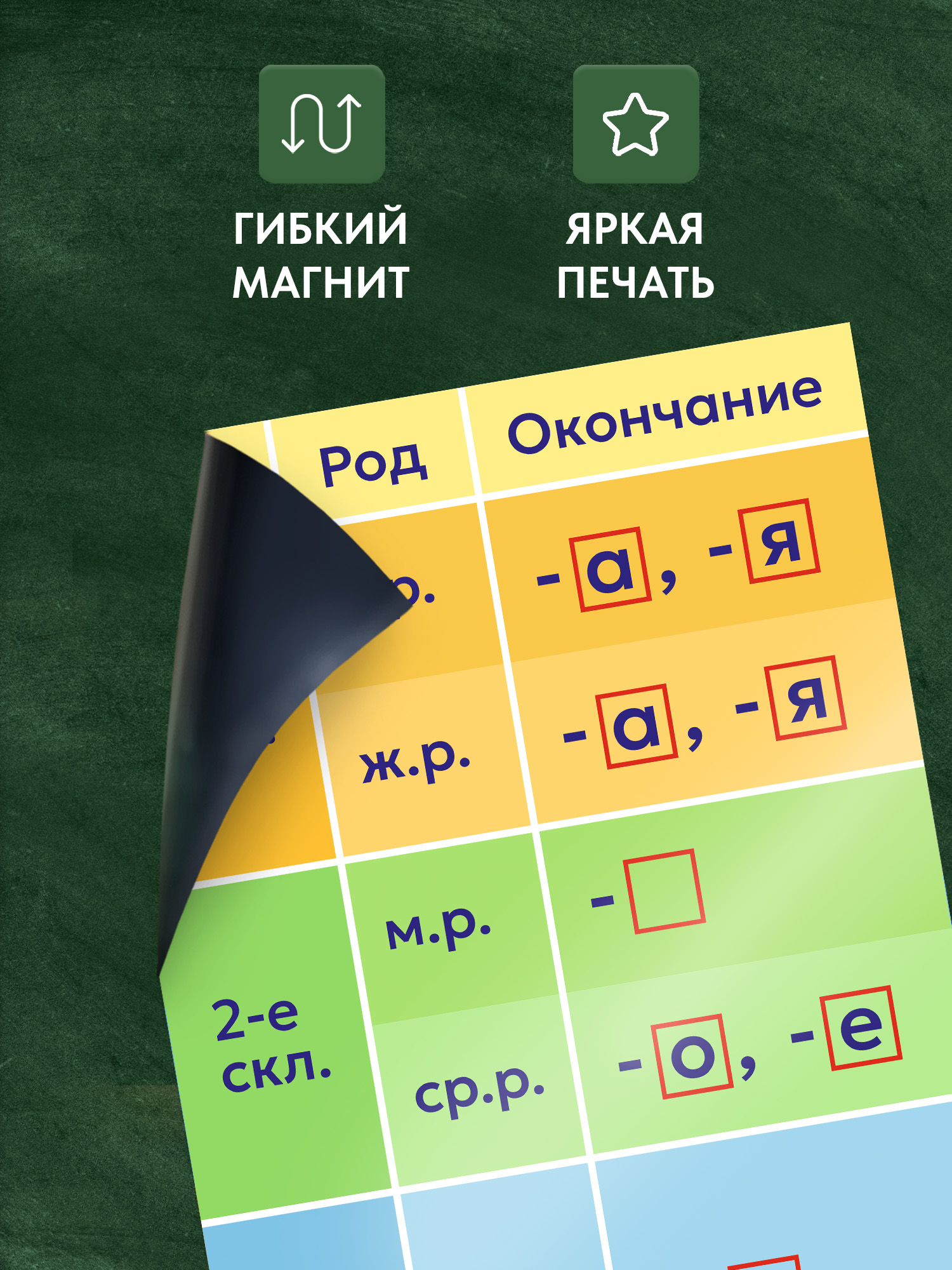 Магниты Выручалкин "Склонения", набор - фото 4