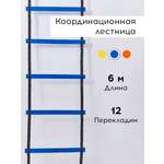 Активная игра FN Sport Ladders