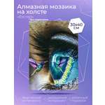Алмазная мозаика Solmax Взгляд