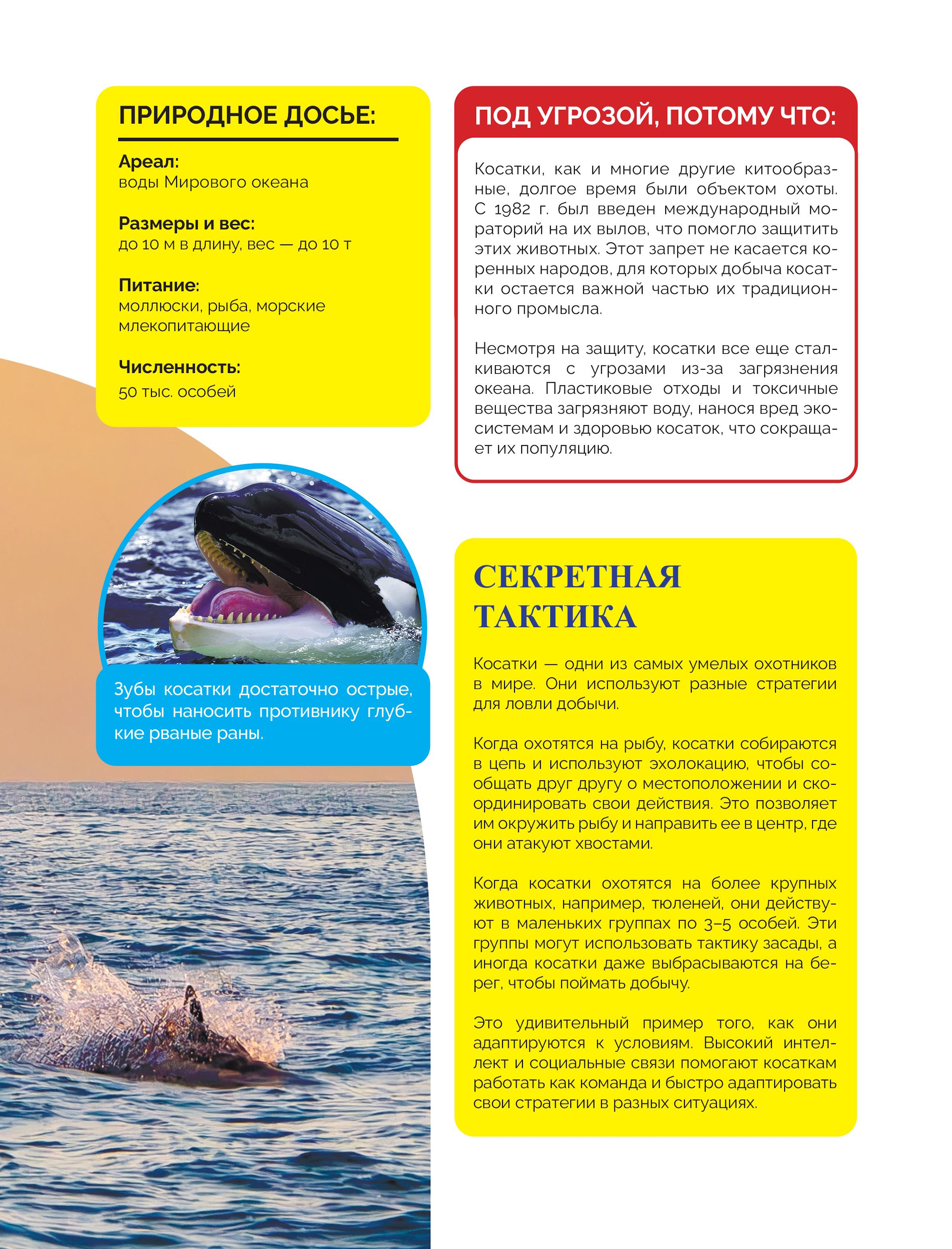 Книга Эксмо Красная книга России От Байкала - фото 8