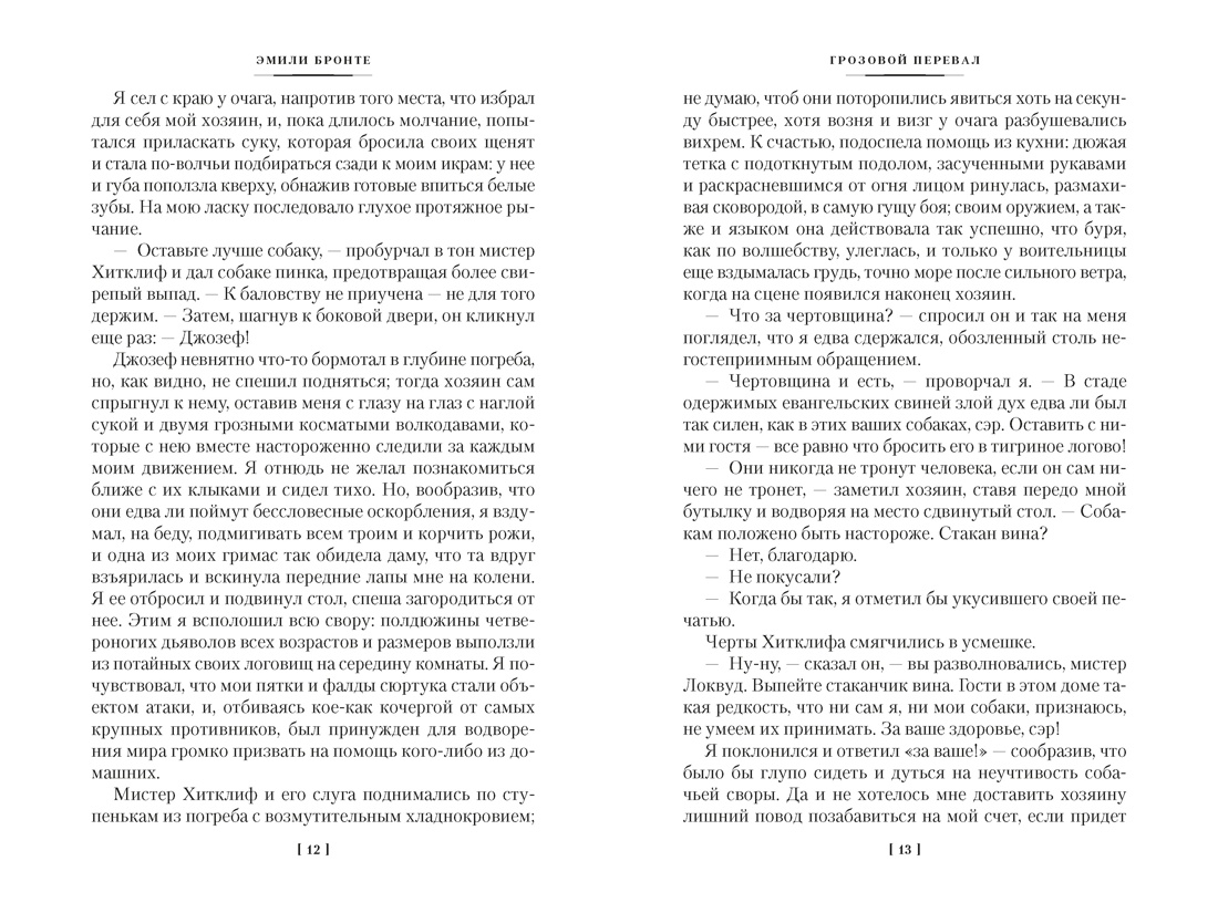 Книга АЗБУКА Грозовой перевал Стихотворения с илл - фото 15