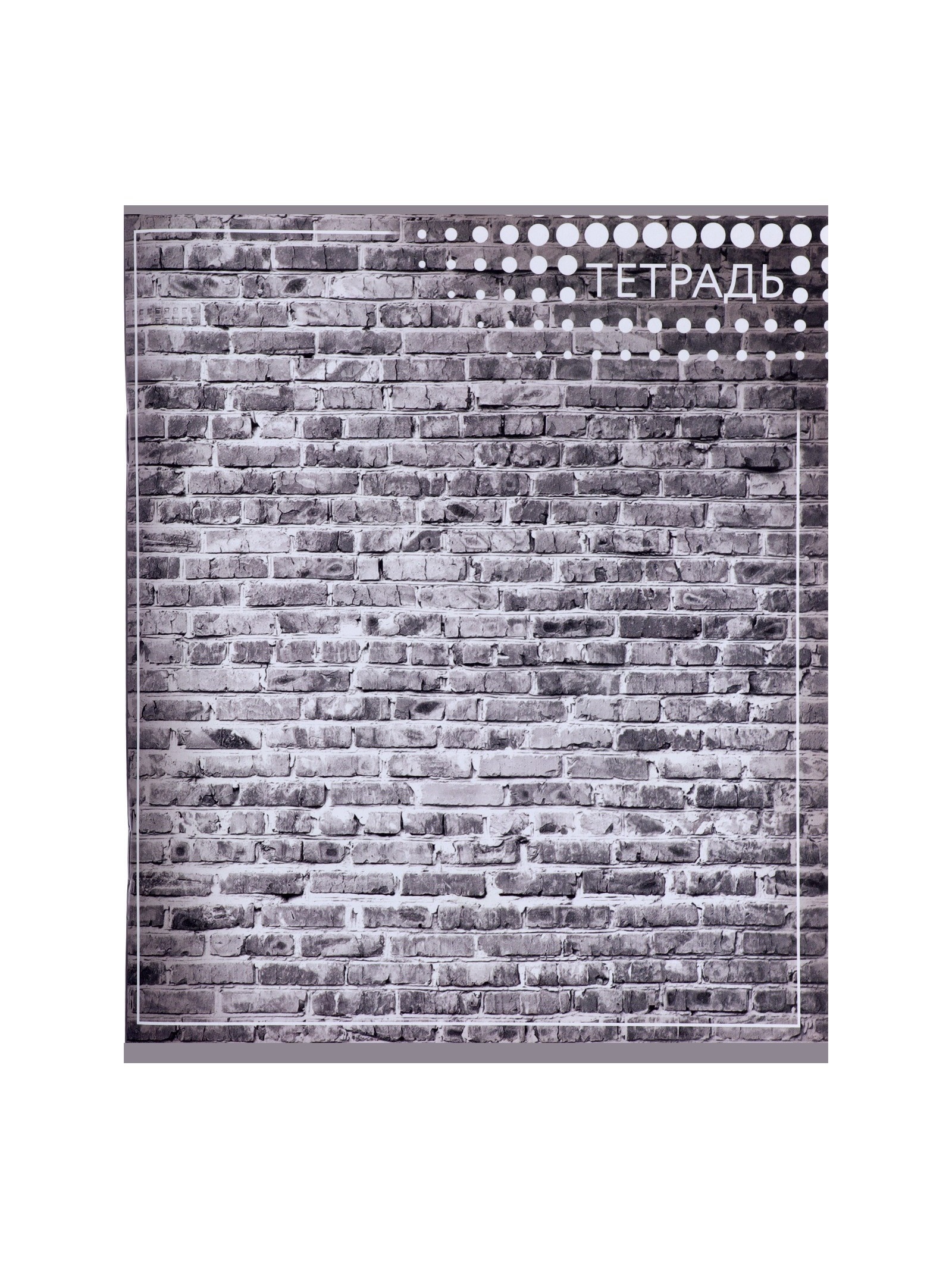 Тетрадь Calligrata клетка - фото 11