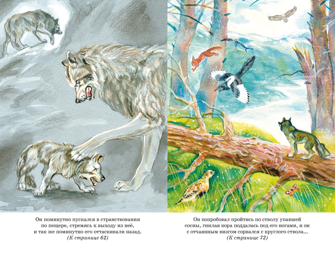 Книга Махаон Белый клык - фото 10