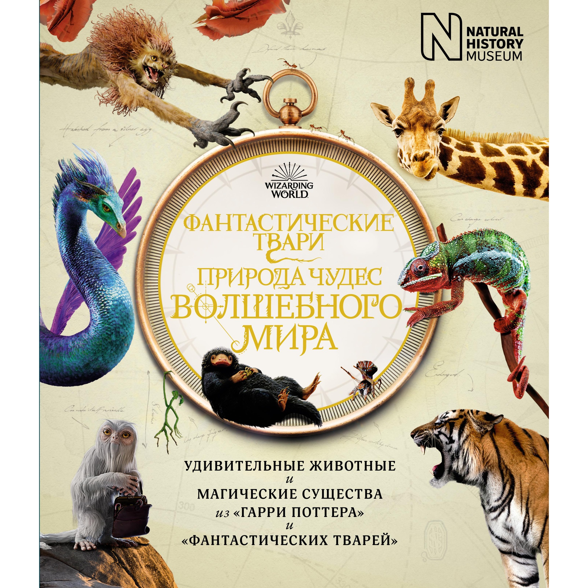 Книга МАХАОН Фантастические твари. Природа чудес волшебного мира - фото 1