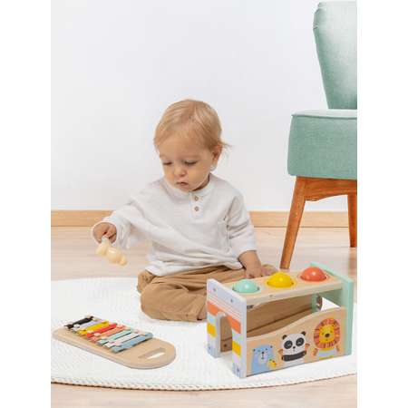 Игрушка музыкальная Hape ксилофон