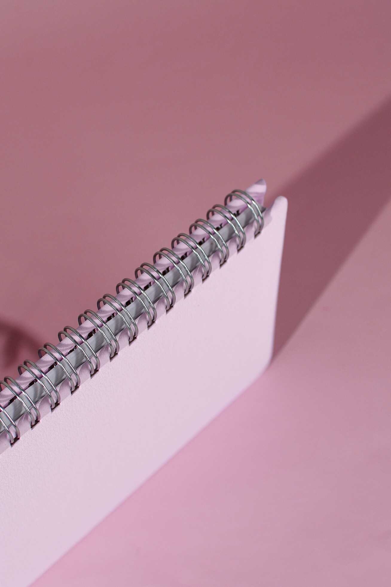 Ежедневник Феникс + ESCALADA 68 лист. - фото 10