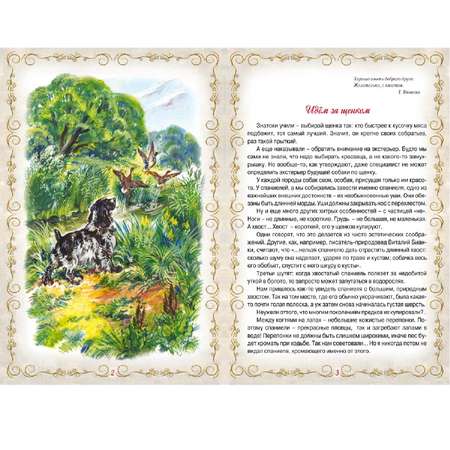 Книга Алтей Дик. Повесть о собаке