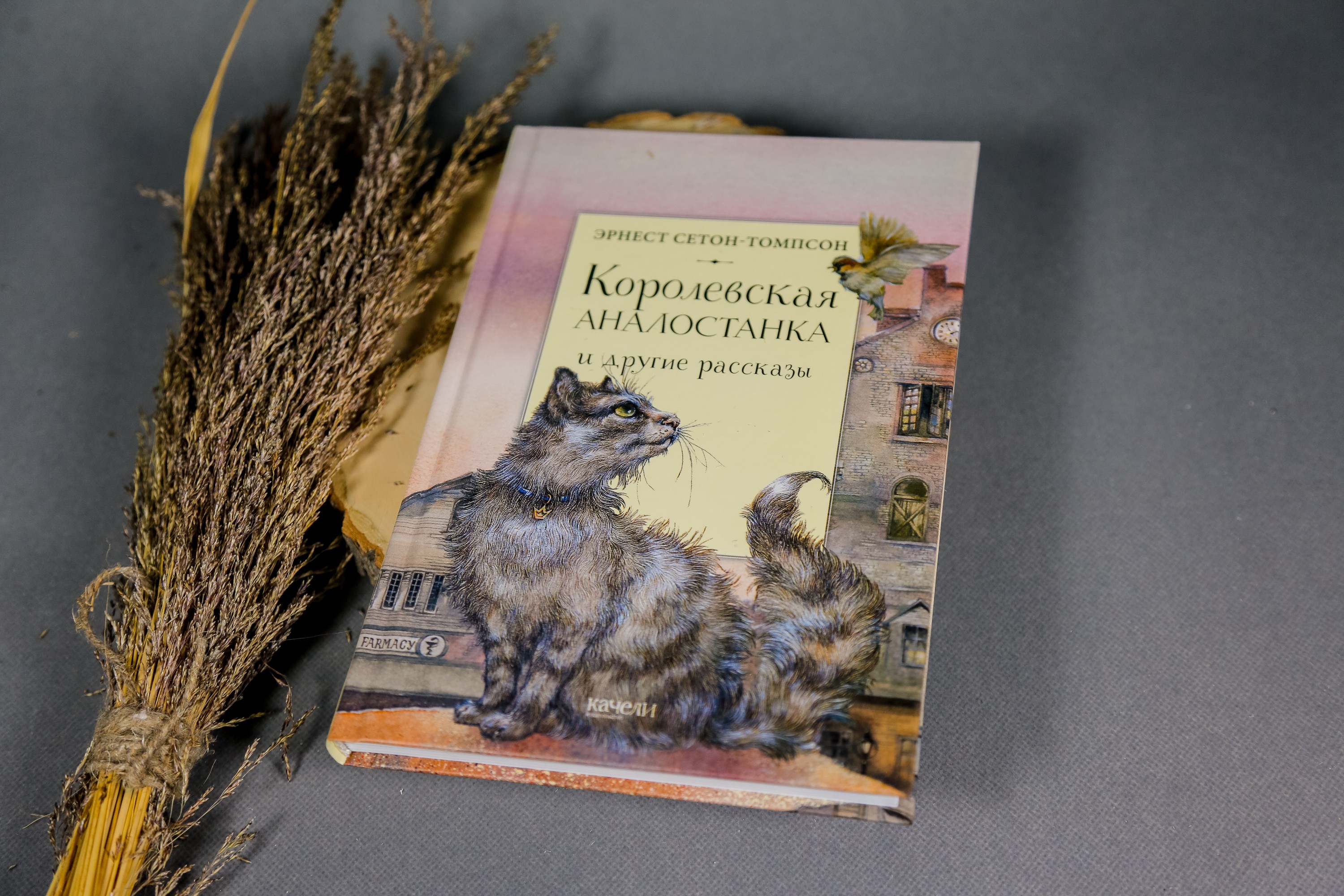 Книга Качели Королевская Аналостанка и другие рассказы - фото 6