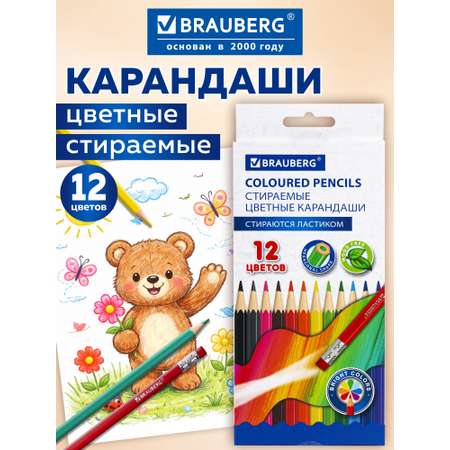 Карандаши цветные Brauberg 12 шт.