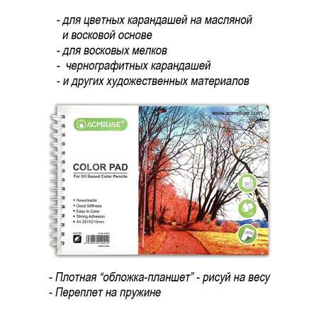 Альбом ACMELIAE А4 30 лист.