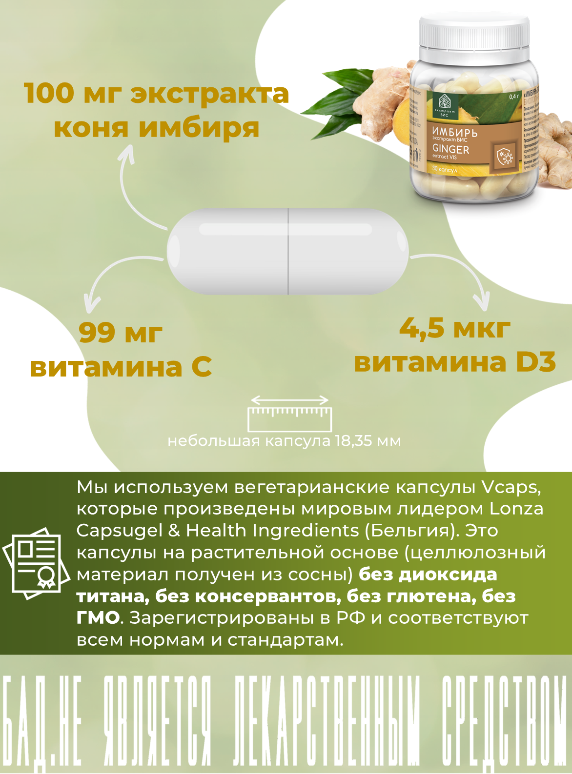 БАД Экстракт-ВИС Имбирь №30 - фото 4