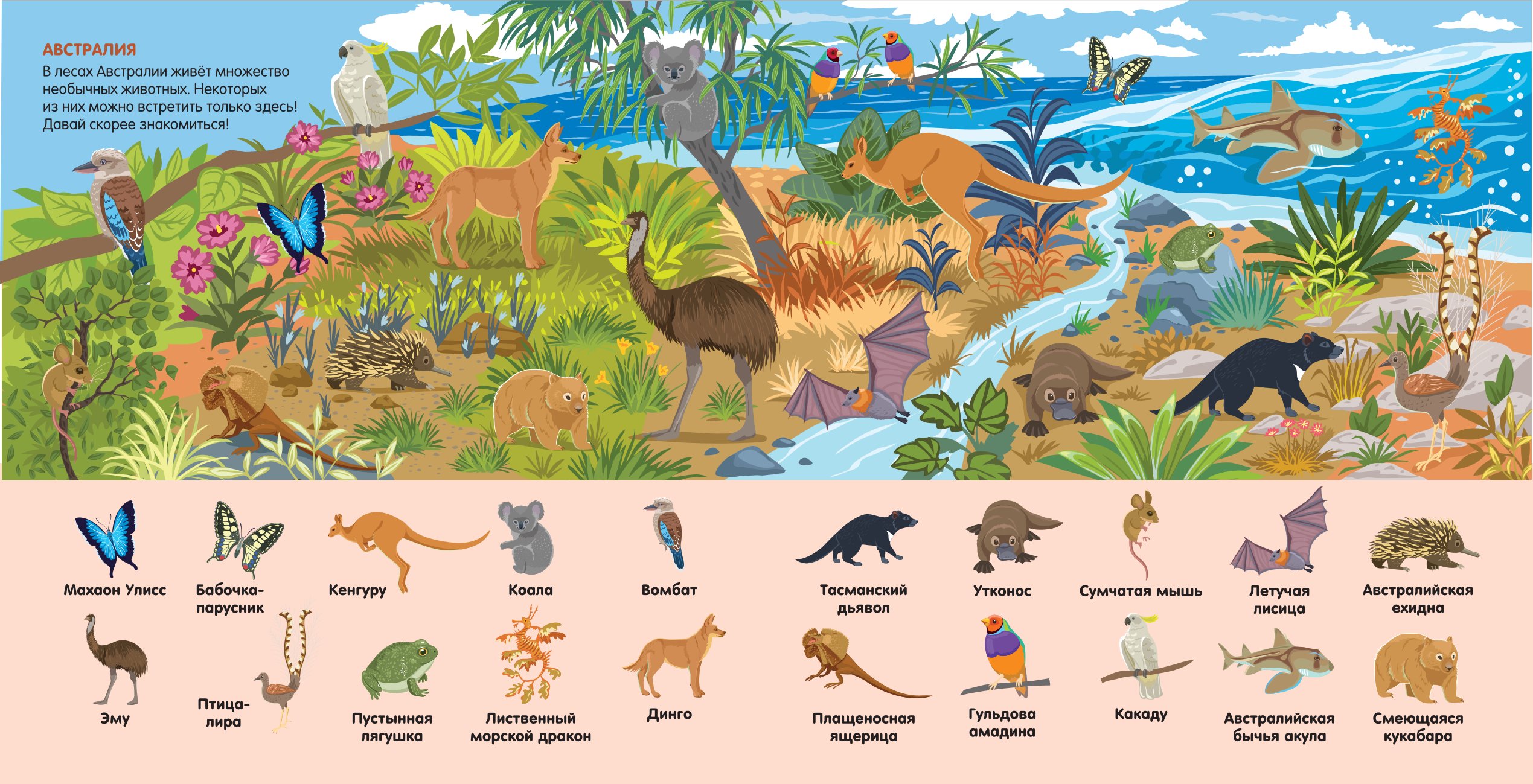 Книга АСТ Найди 101 животное В зоопарке - фото 5