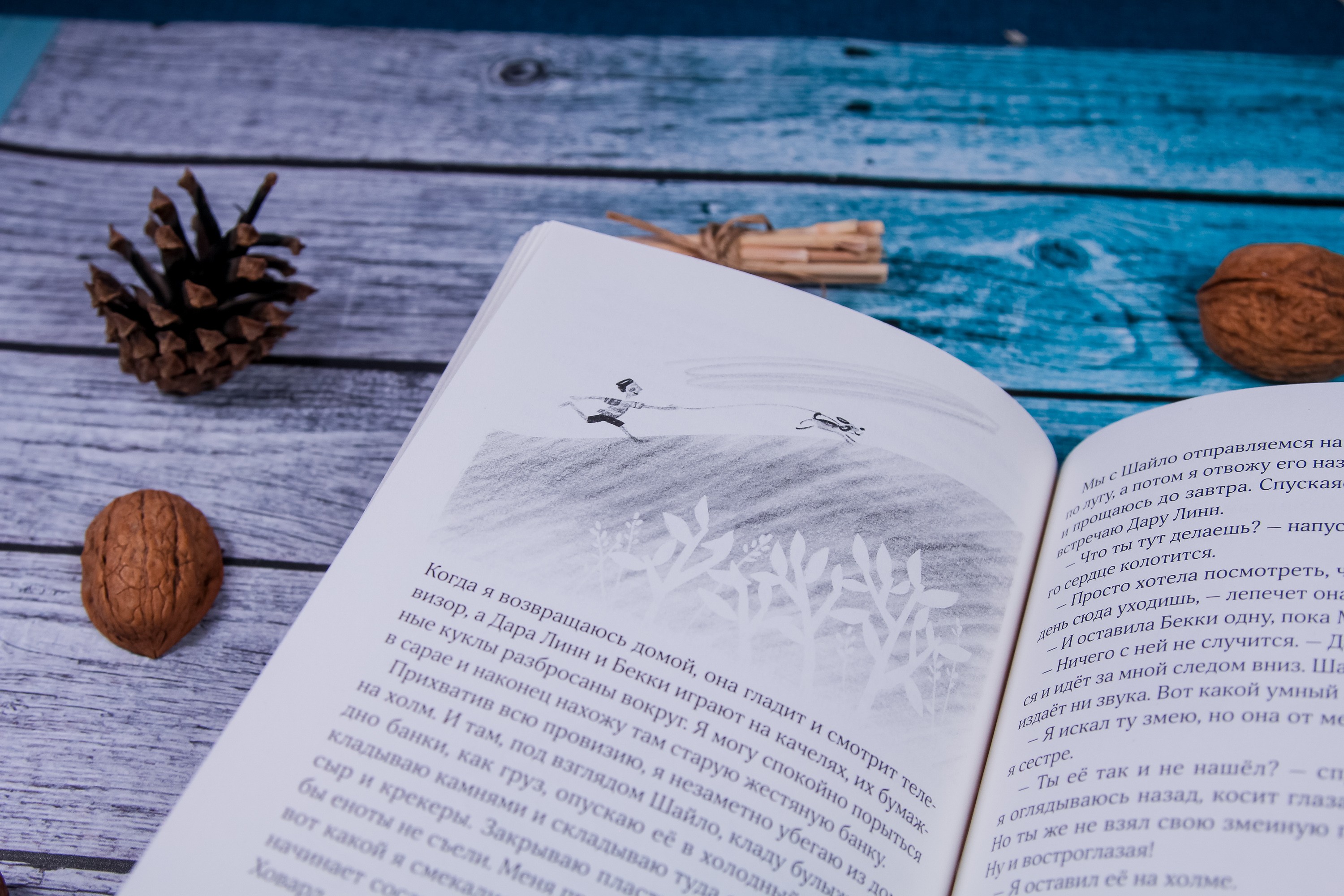 Книга Волчок Шайло - фото 7
