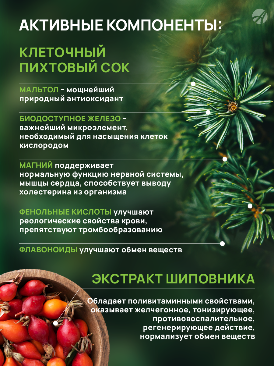 БАД Арт Лайф Взвар Абитэль Против вирусов и бактерий - фото 3