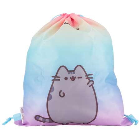 Мешок для обуви Pusheen
