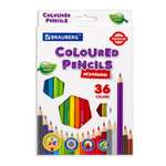 Карандаши цветные Brauberg 36 шт.