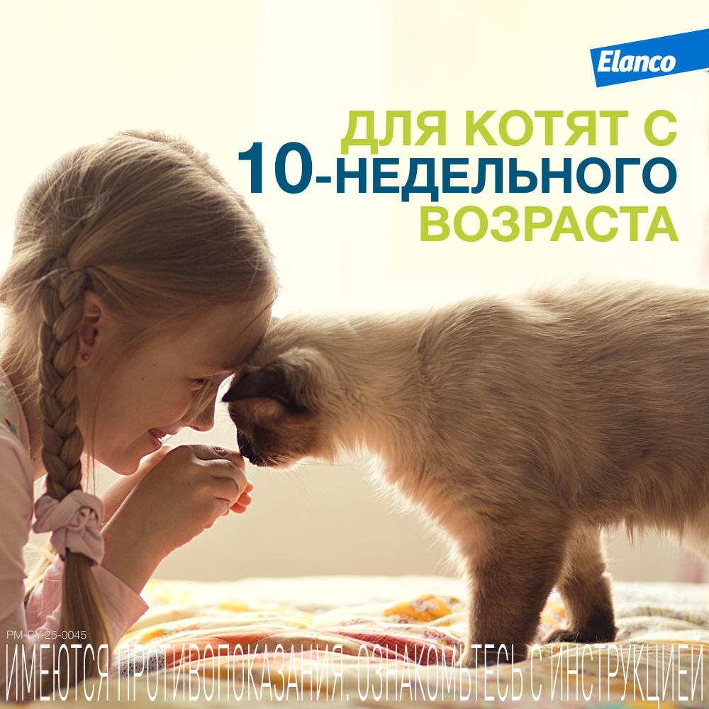 Ошейник для кошек Elanco Foresto от блох и клещей защита 8месяцев 38см 65232 - фото 11