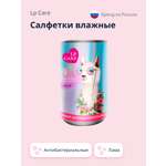 Влажные салфетки LP CARE антибактериальные 30 шт.