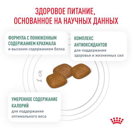 Корм для собак ROYAL CANIN Diabetic при сахарном диабете 1.5кг