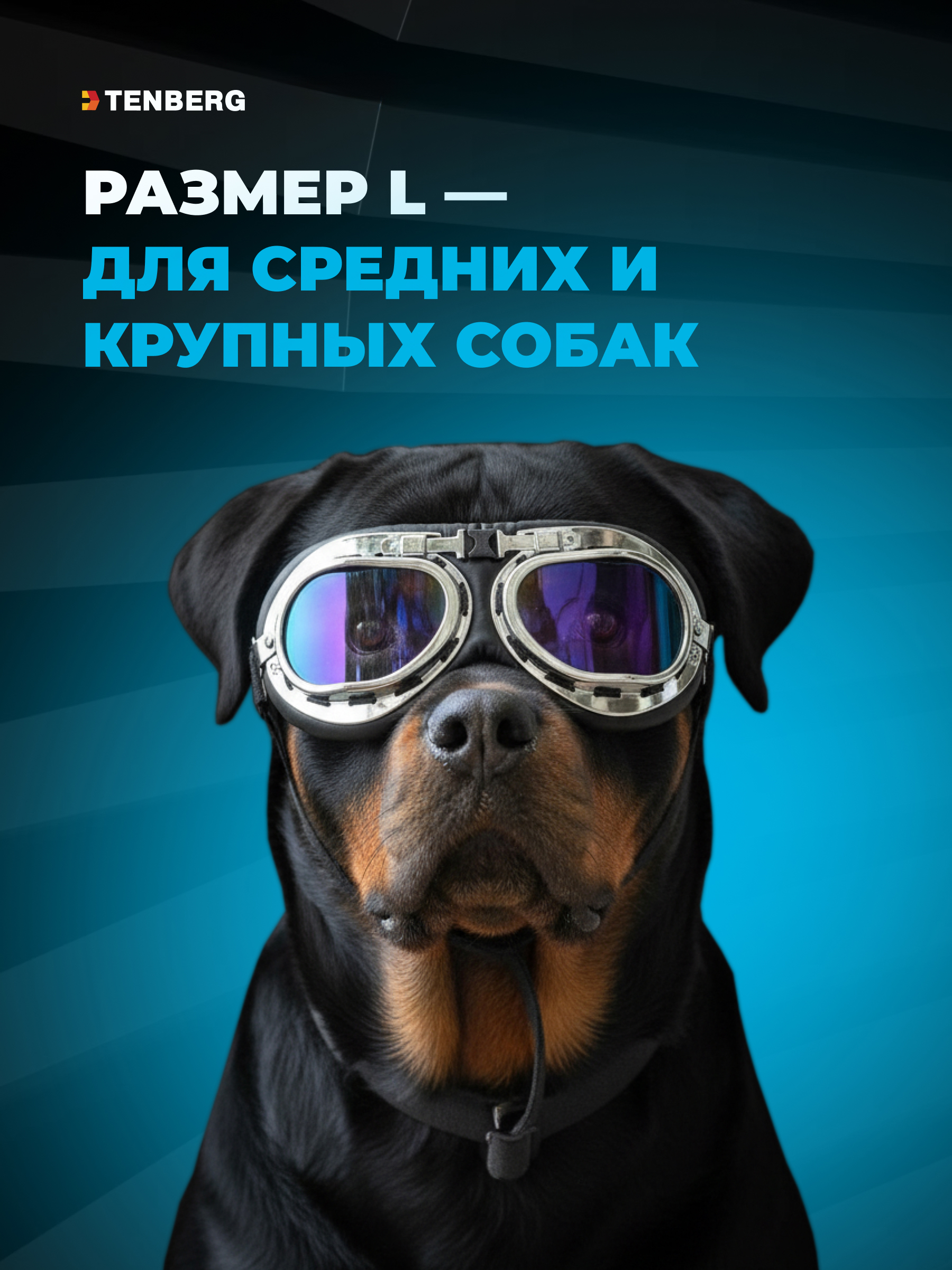 Солнцезащитные очки для собак TENBERG Barkley UV Silver - фото 2