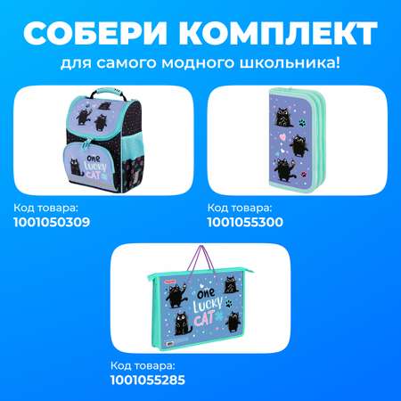 Рюкзак Пифагор