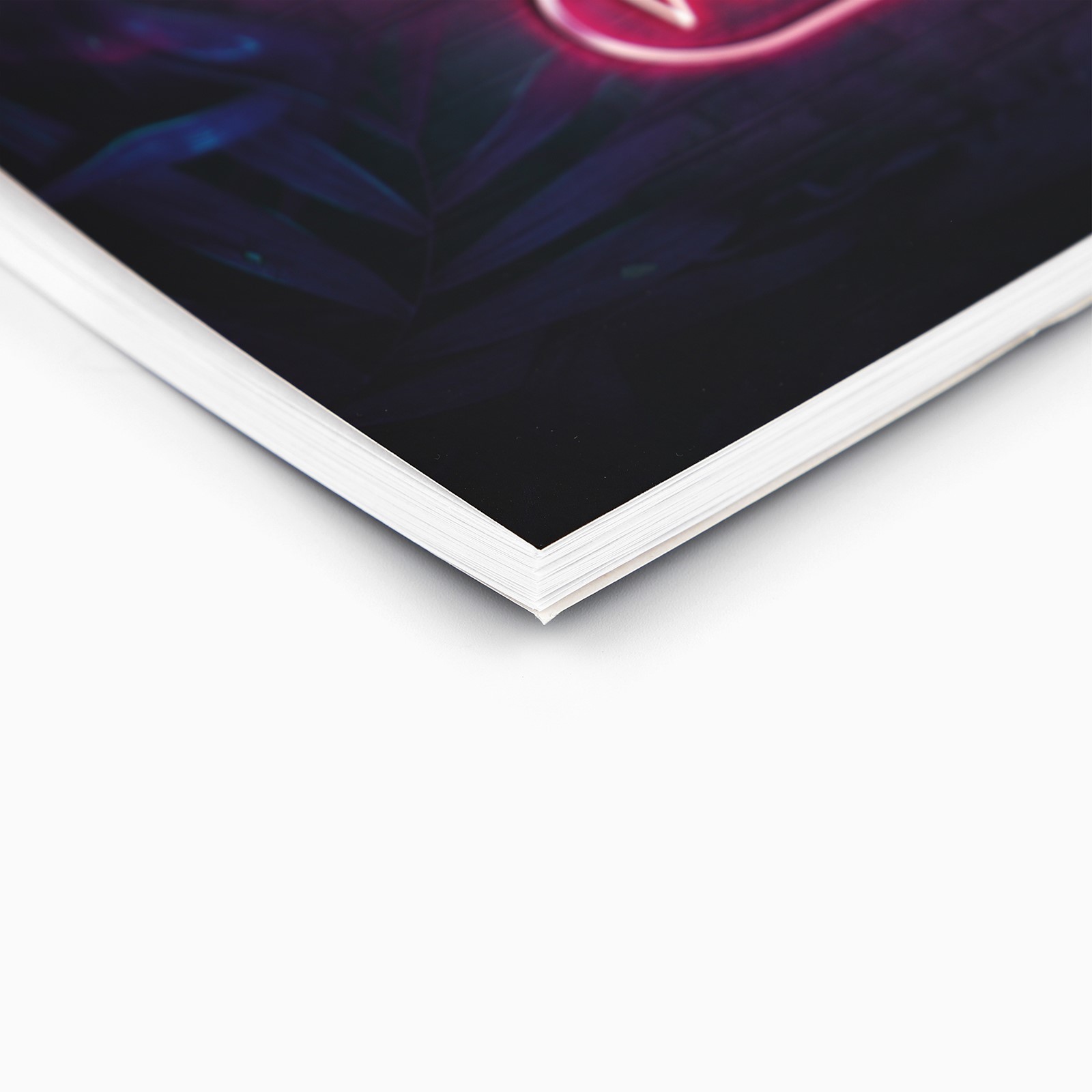 Альбом ArtFox STUDY - фото 2