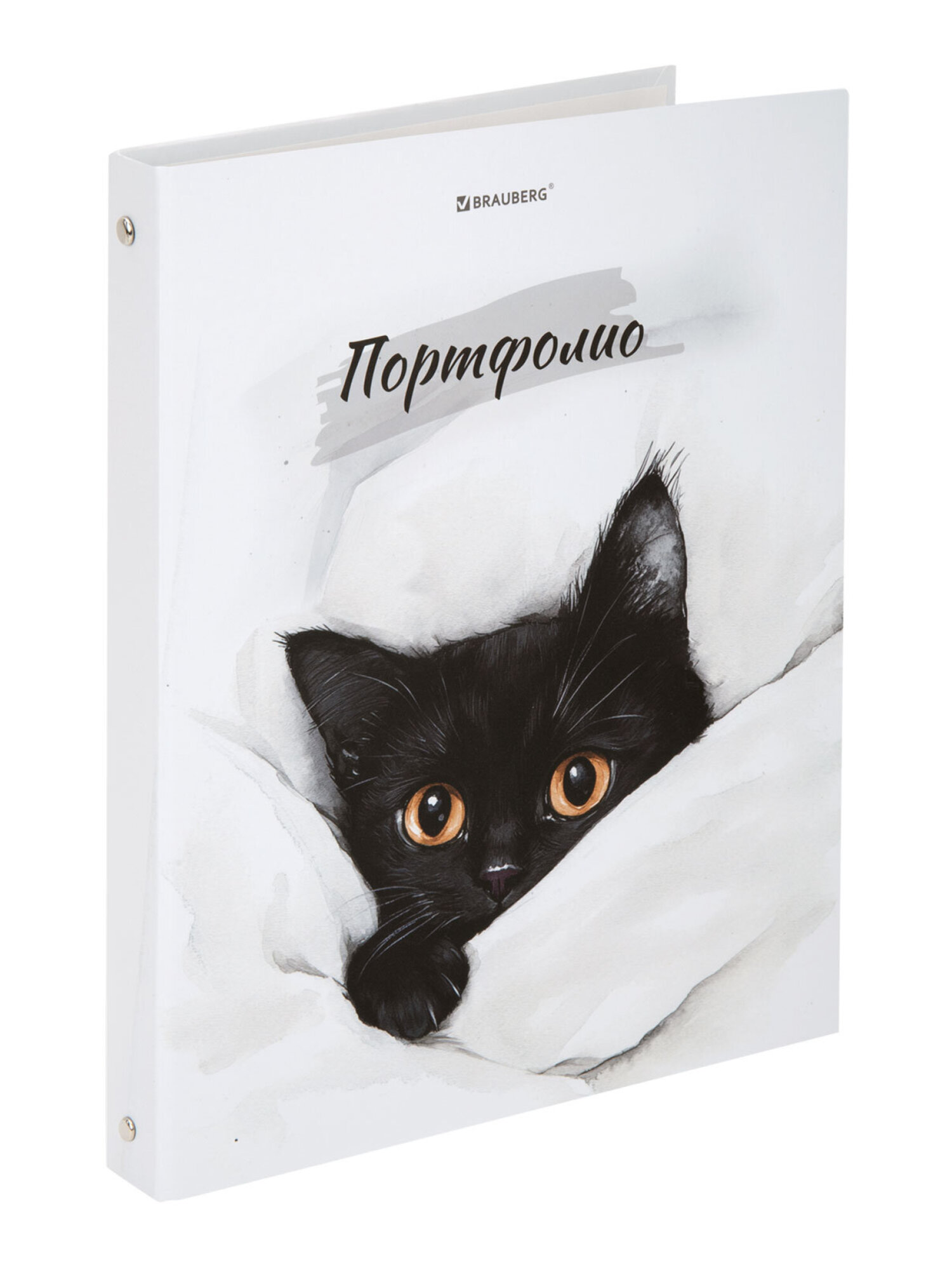 Портфолио школьника Brauberg папка А4 на кольцах 20 файлов для девочки и мальчика - фото 6