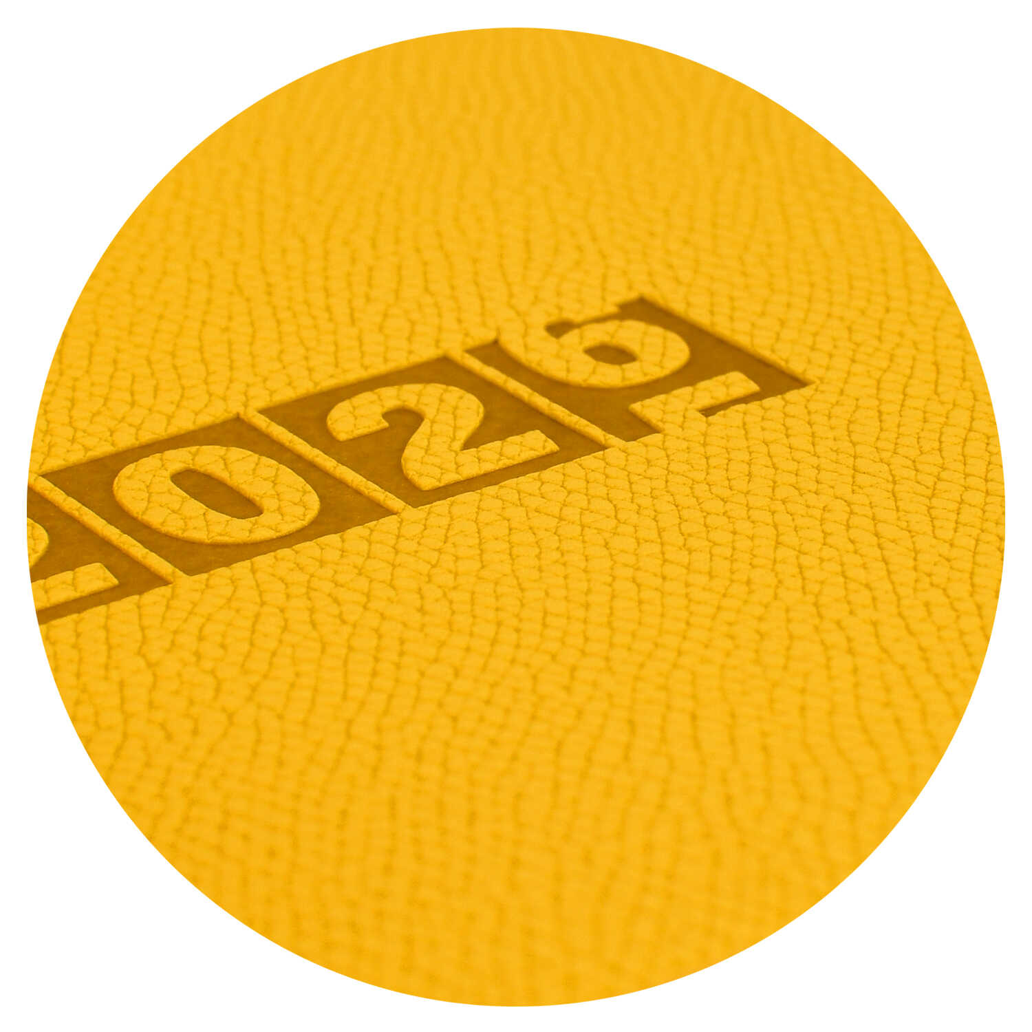 Ежедневник Феникс + ESCALADA 64 лист. - фото 2