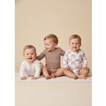 Боди 3 шт КотМарКот