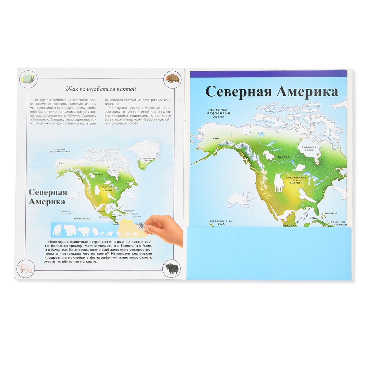Книга Лабиринт Животные Наша планета - фото 2