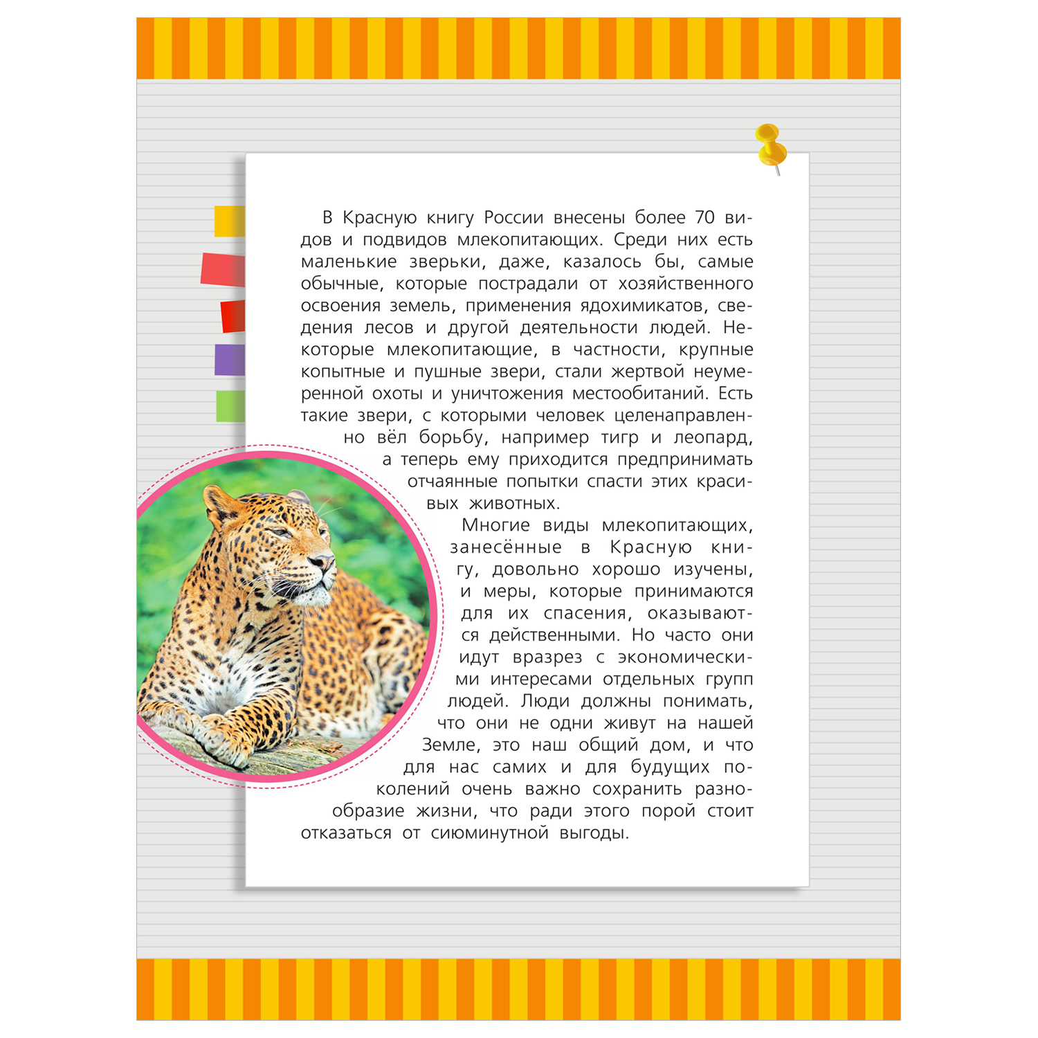 Энциклопедия Красная книга России - фото 8