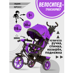 Трехколесный велосипед Velobibi 10 дюймов