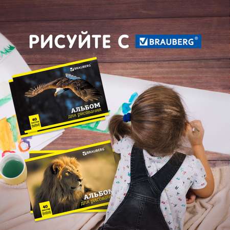 Альбом Brauberg А4 40 лист. 4 шт.