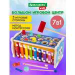 Игрушка Brauberg развивающий центр 7 в 1