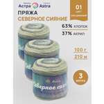 Пряжа Astra Premium 100гр 210м 3шт