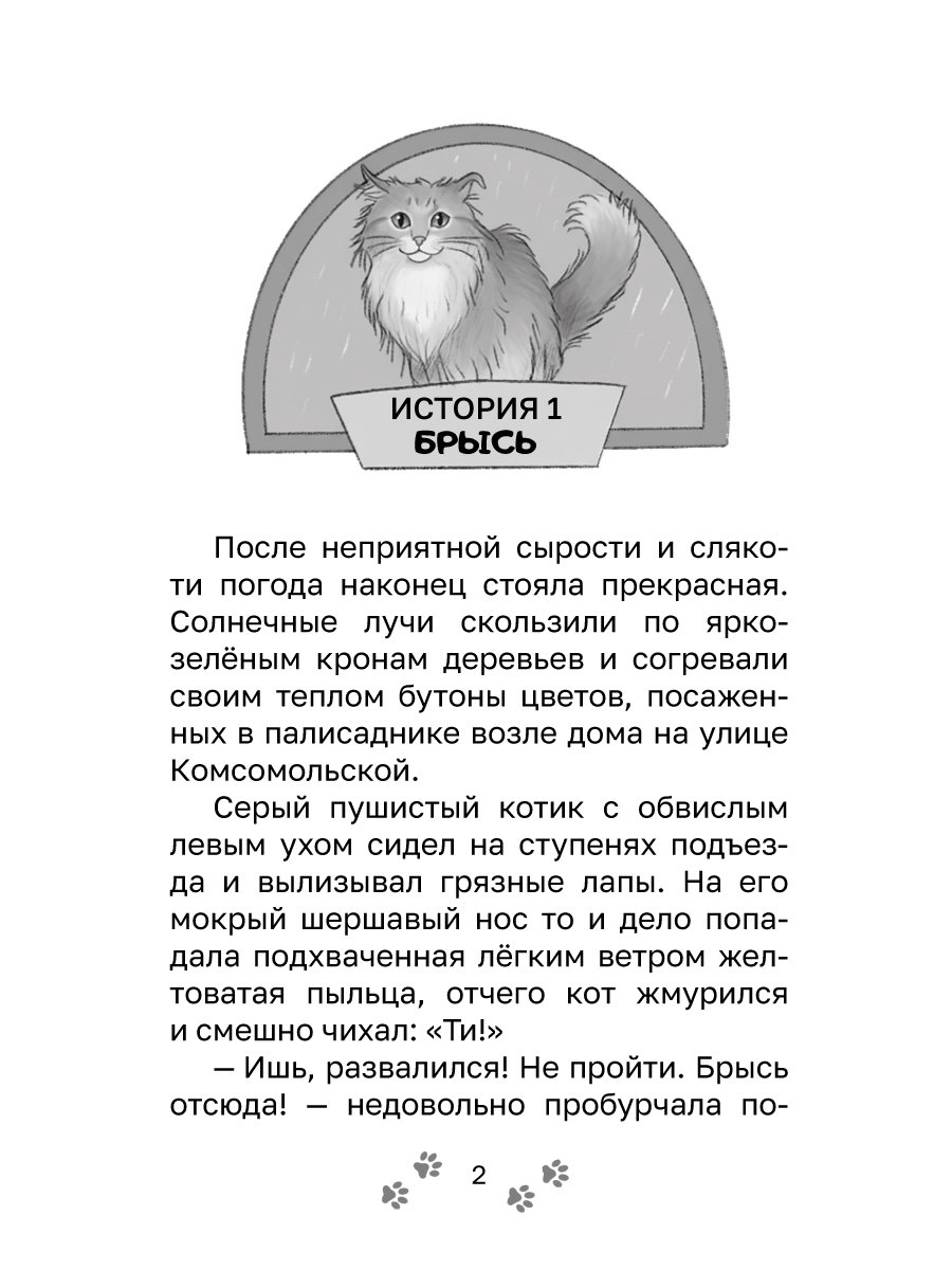 Книга Проф-Пресс Трогательные истории Котенок Брысь обретает дом - фото 7