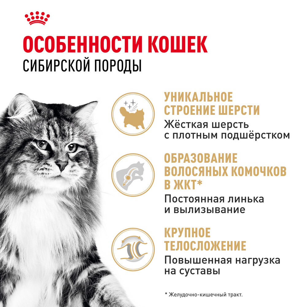 Корм сухой для кошек ROYAL CANIN Siberian 2кг сибирских пород - фото 3