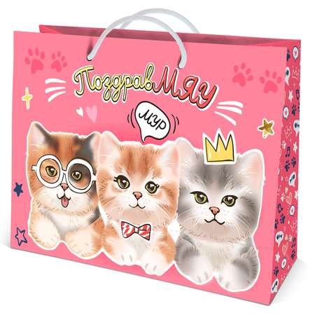Пакет подарочный ND PLAY Котики на розовом 40*30см 313877