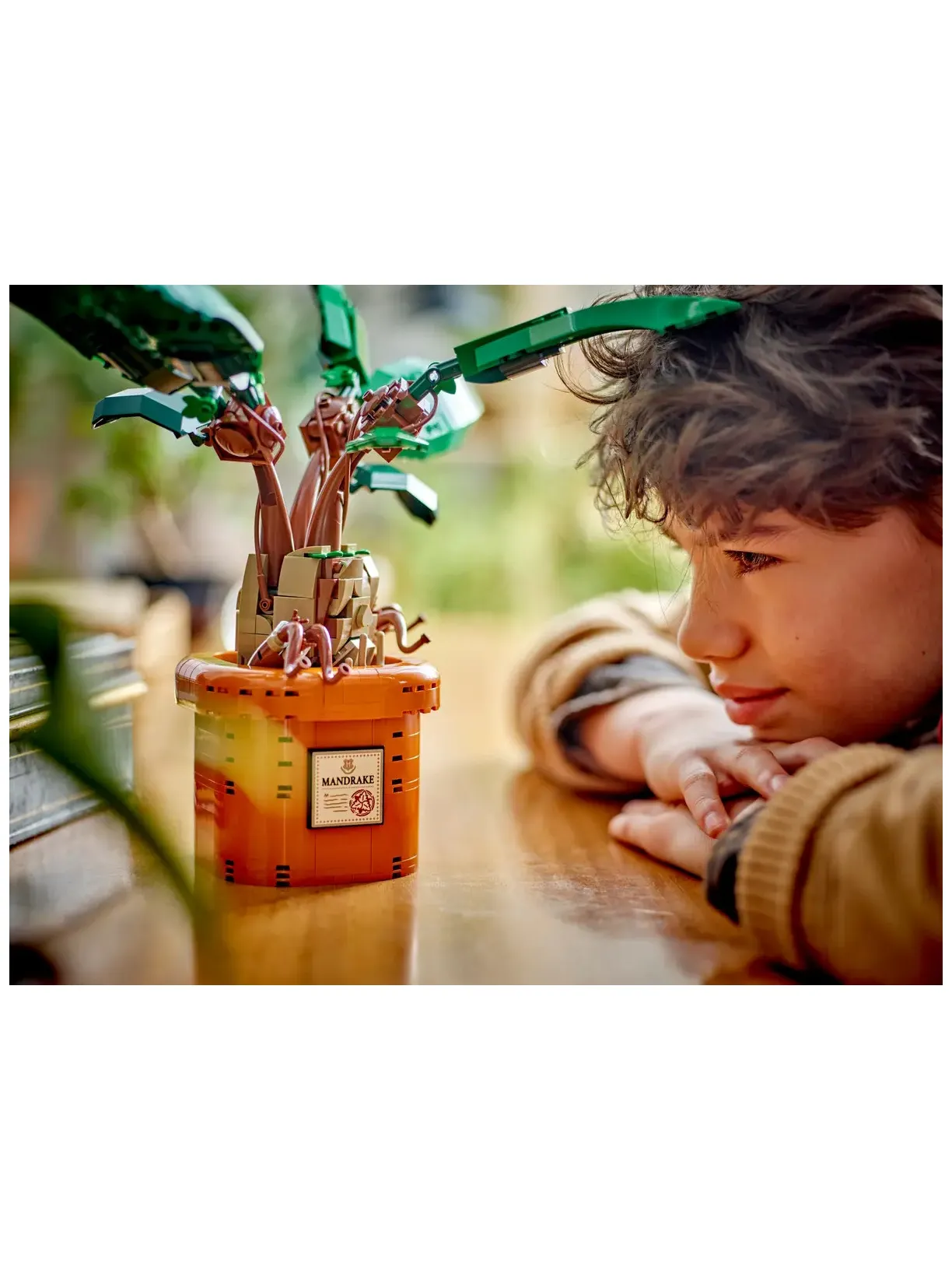 Конструктор LEGO Harry Potter Мандрагора 579 дет. - фото 7