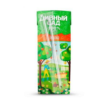 Нектар Дивный сад яблочный 0.2л