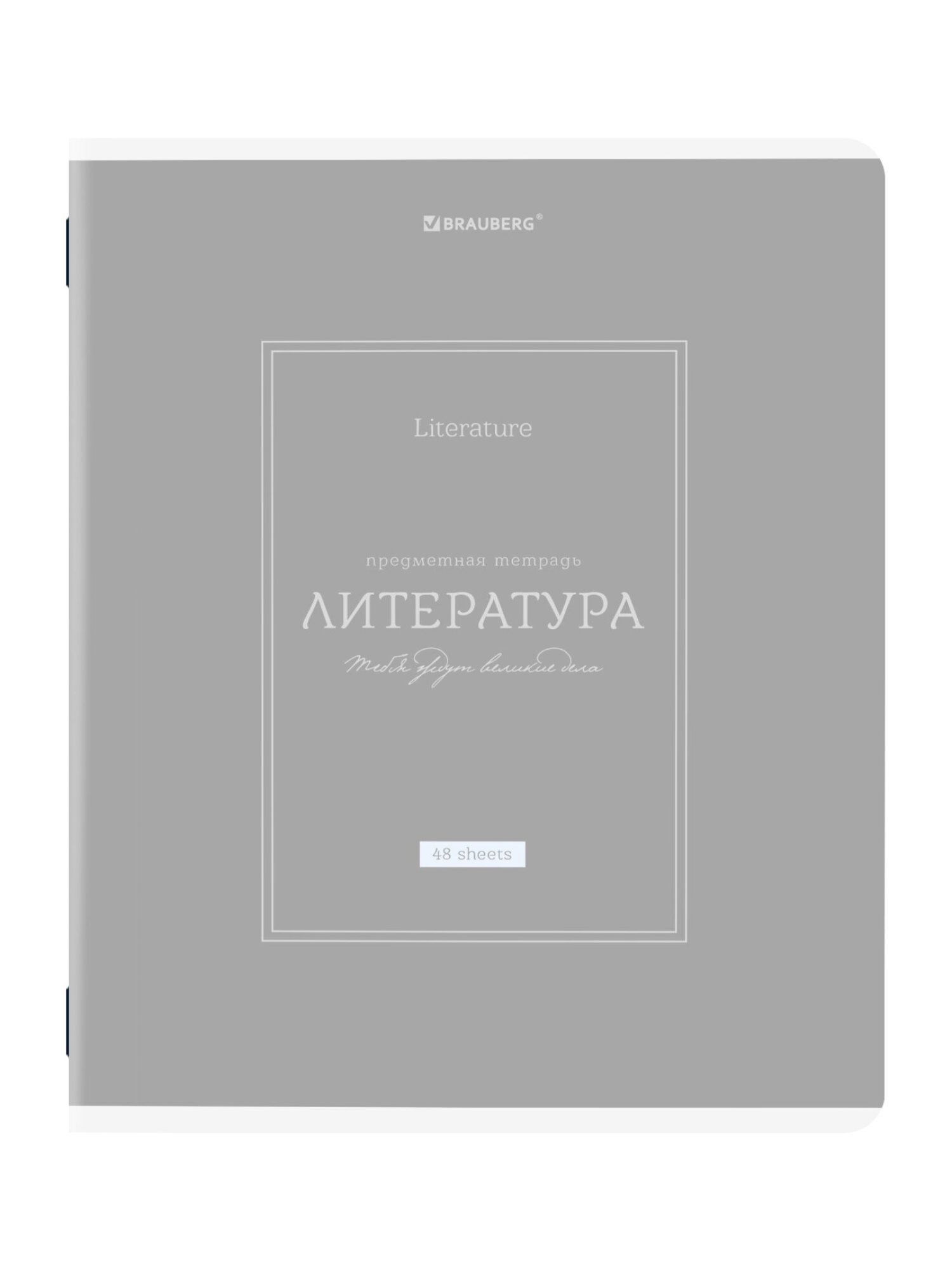 Тетрадь Brauberg 48 лист. 12 шт. - фото 13