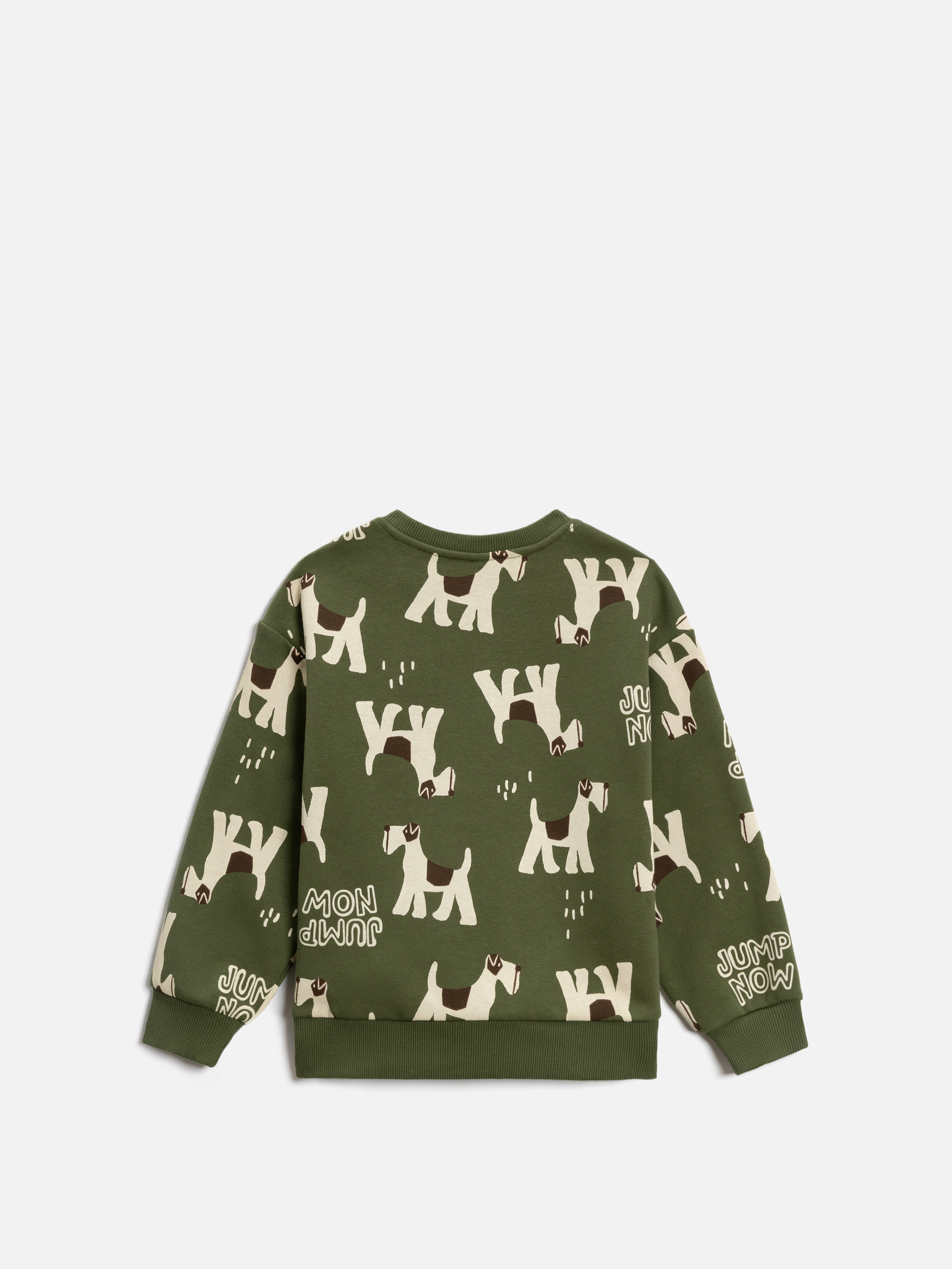 Свитшот Acoola 20120170194_0092499 - фото 5