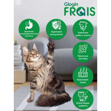 Консервированный корм Frais Влажный для кошек Holistic минтай фарш 100 г х 6 шт